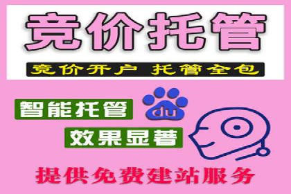 某电商平台的SEM运营托管全记录